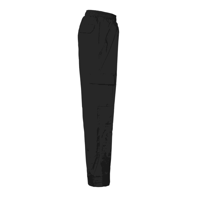 BAS10007310010_Rel 176_2.png