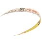 BAHLTS30_Rel lts30_2.png