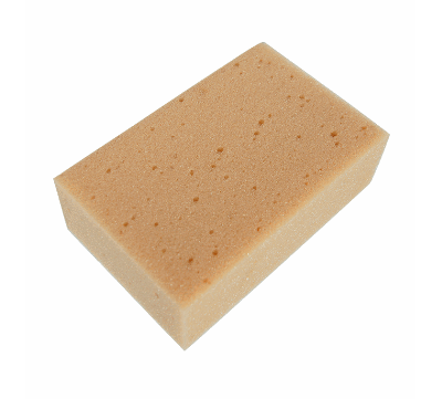 BIL03016 vaskesvamp.png