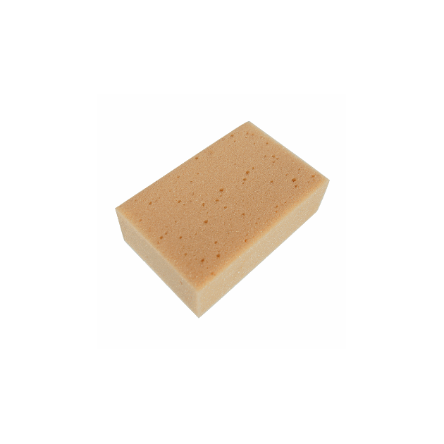 BIL03016 vaskesvamp.png