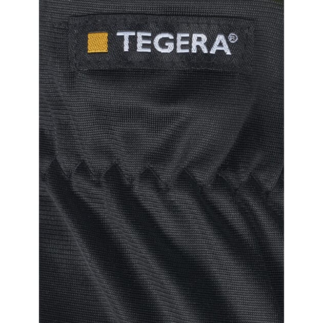 EJE321-TEGERA_Rel 321_2.jpg