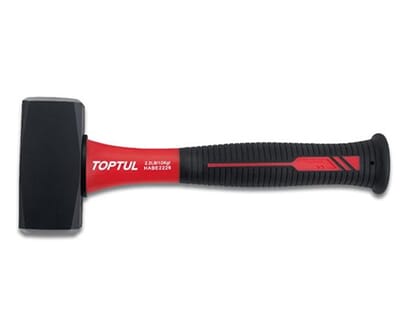 TOPHABE2226.JPG